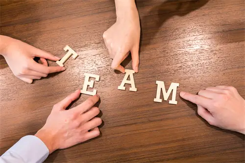 武汉大学丁冬冬简介资料